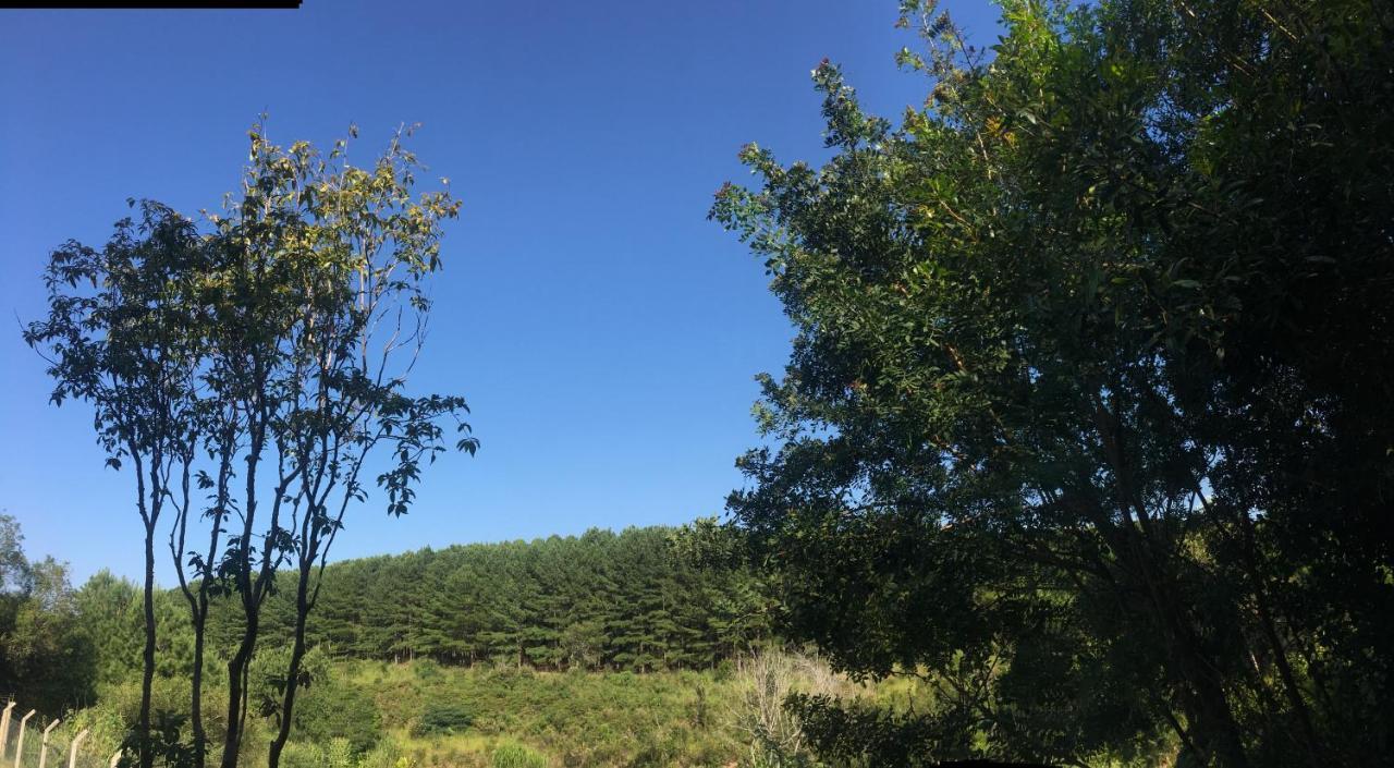Casa De Campo Com Piscina Jaguariaiva Bagian luar foto